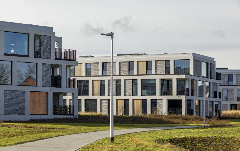 Project-Bergerheide